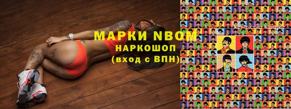 амф Ладушкин
