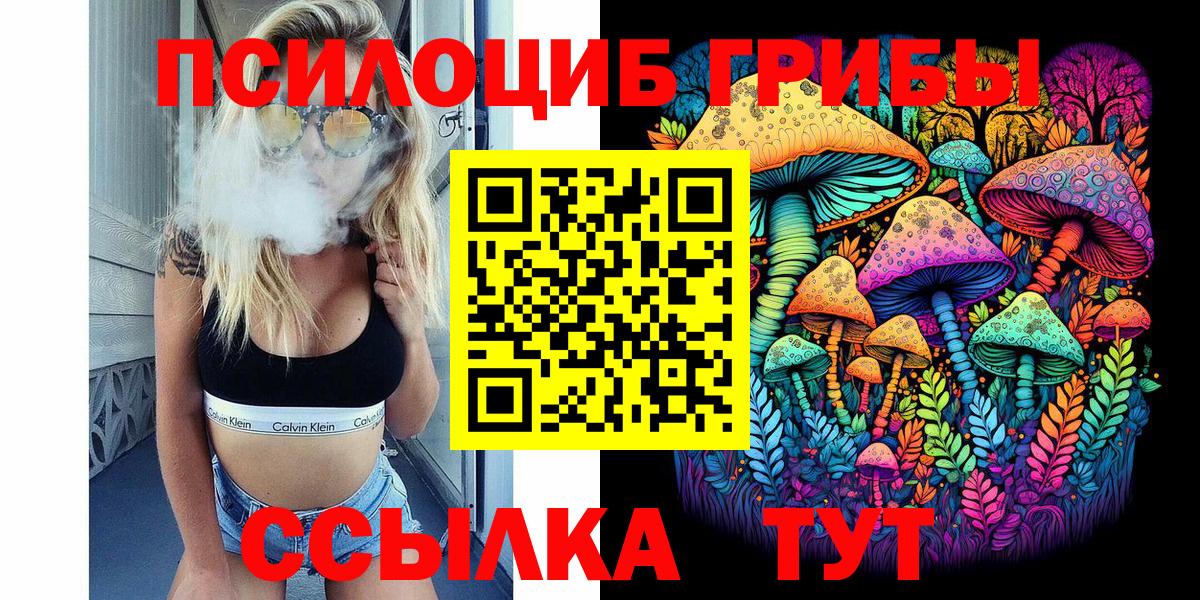 Галлюциногенные грибы Psilocybine cubensis Пермь